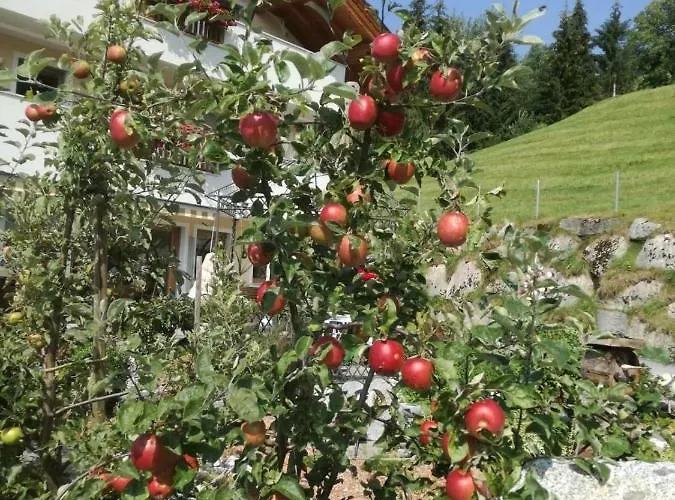 Apartment Hinterstein Hart im Zillertal