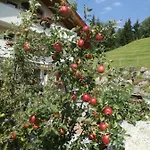 Apartmán Hinterstein Hart im Zillertal