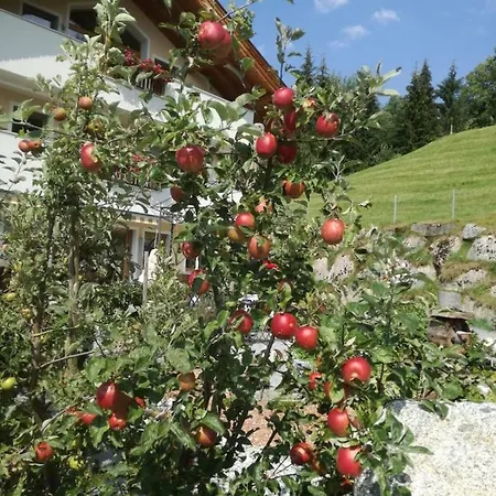 아파트 Hinterstein 하르트 임 칠레르탈